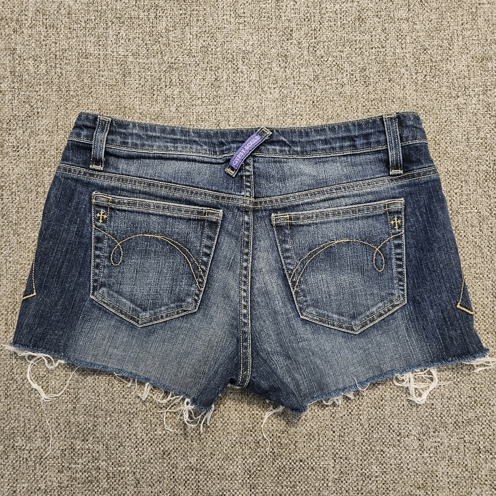 GYPSY SOULE  Raw Hem Denim Blue Jean Shorts Sz 2/26 Mesium Wash